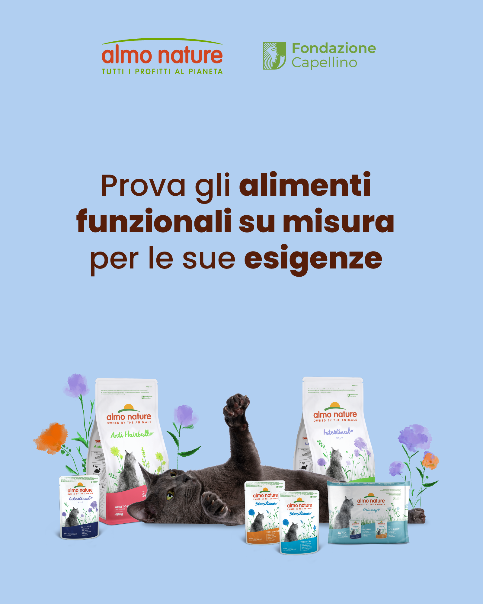 ADV Funzionale Gatto-Landing IT_Desktop no20