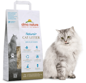 CatLitterGrain cat