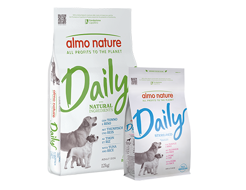 DOG_dry_daily