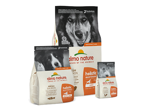 DOG_dry_holistic (1)