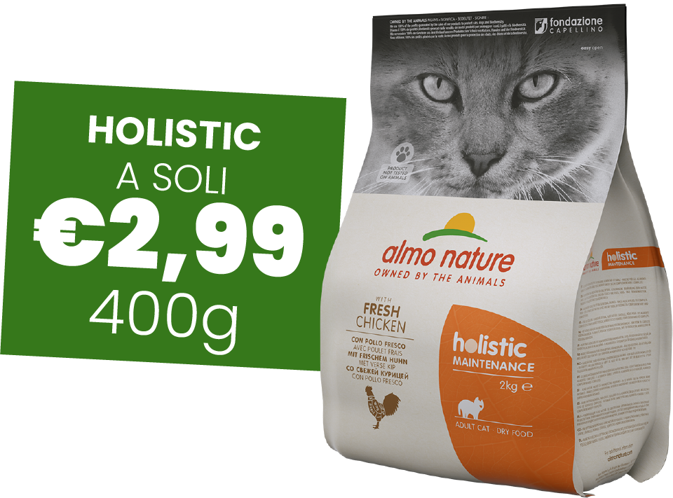 Holistic 2
