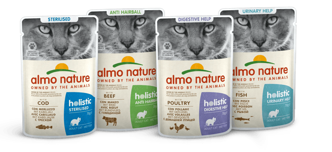 Holistic Cat Wet Functional A copia Holistic Cat Wet Functional A copia