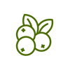 blueberries