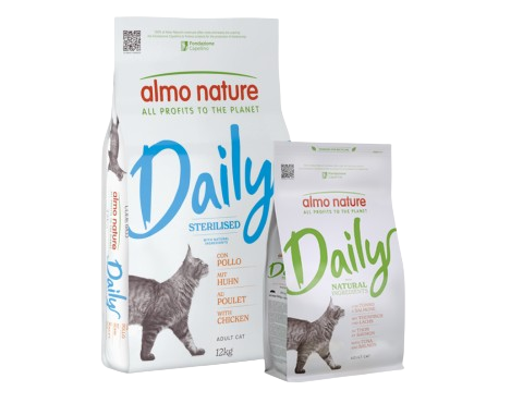 cat_daily