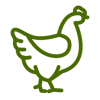 gallina_icon