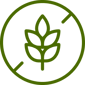 grain-free-icon