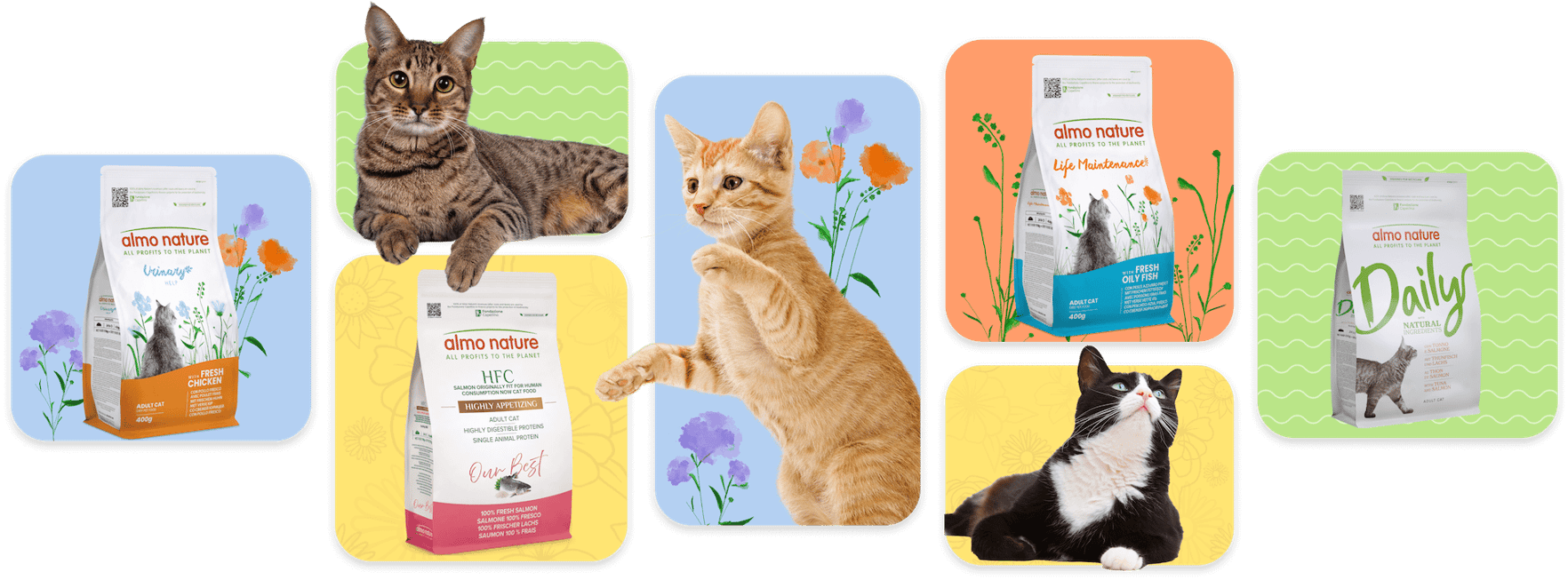 hero-corcchette-gatto