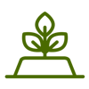 plant-icon
