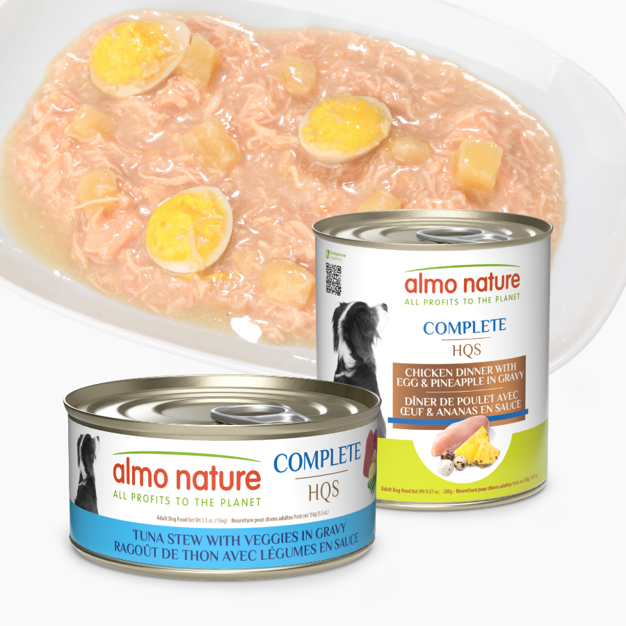 NA-complete_dog food page