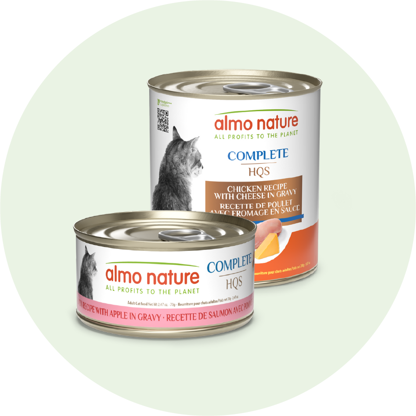 complete cat-home page slider