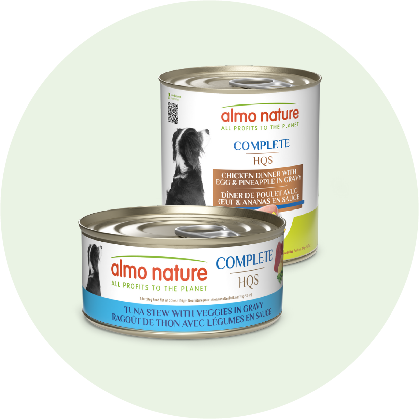 complete dog-home page slider