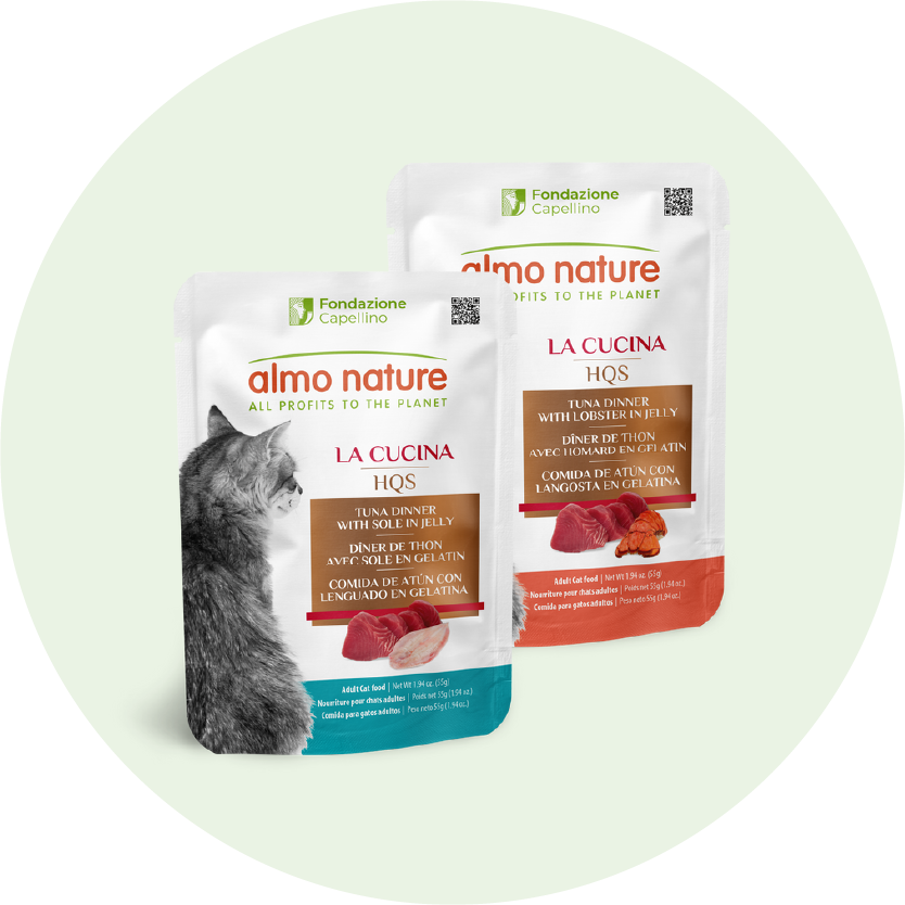 la cucina cat-home page slider