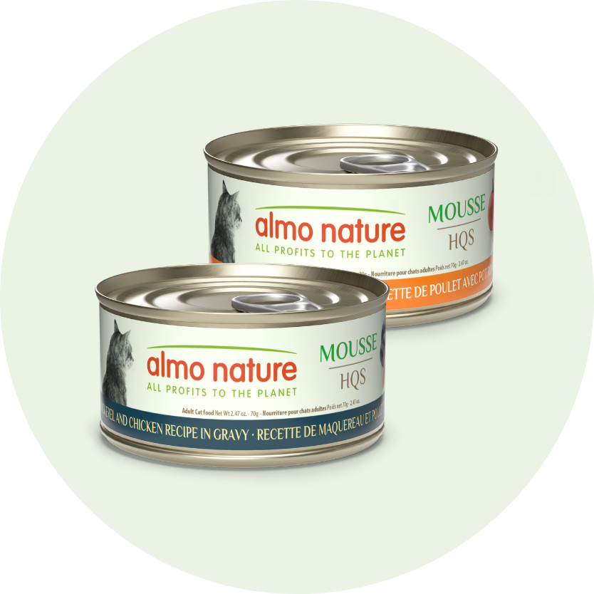 mousse cat-home page slider