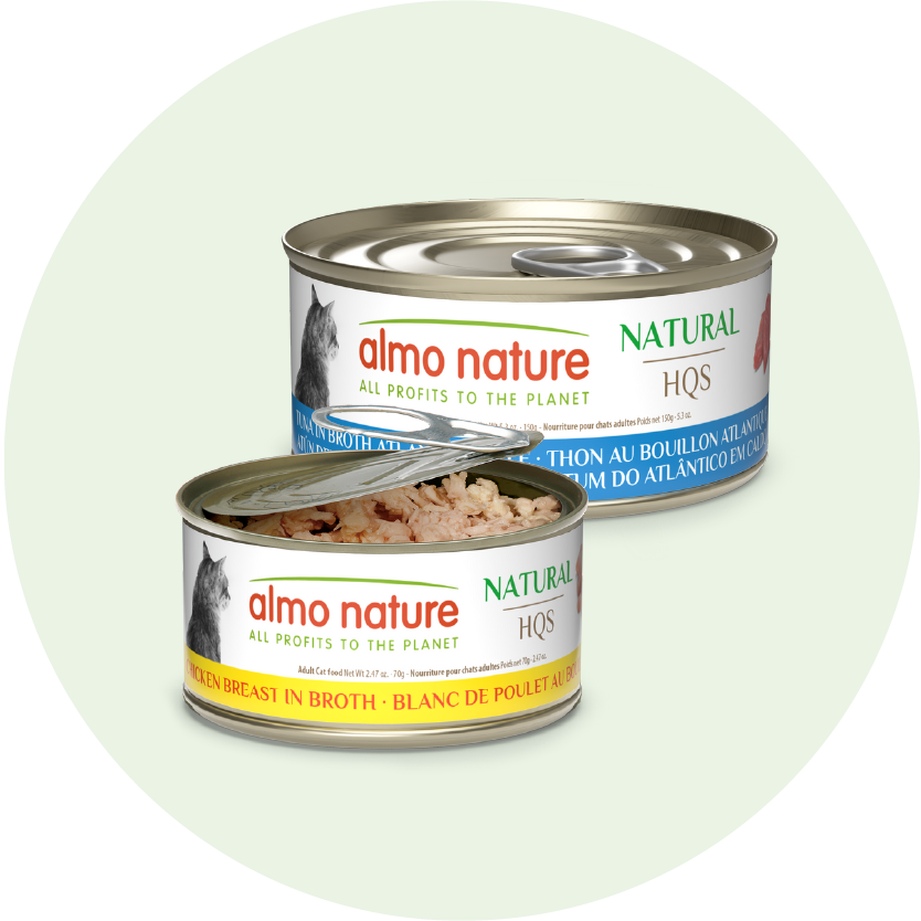 natural cat-home page slider