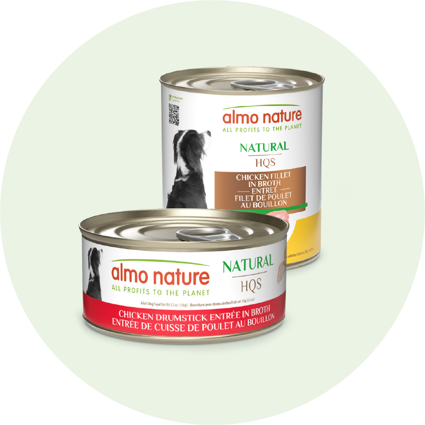 natural dog-home page slider