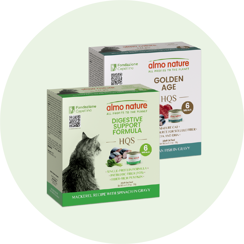 supportive cat-home page slider