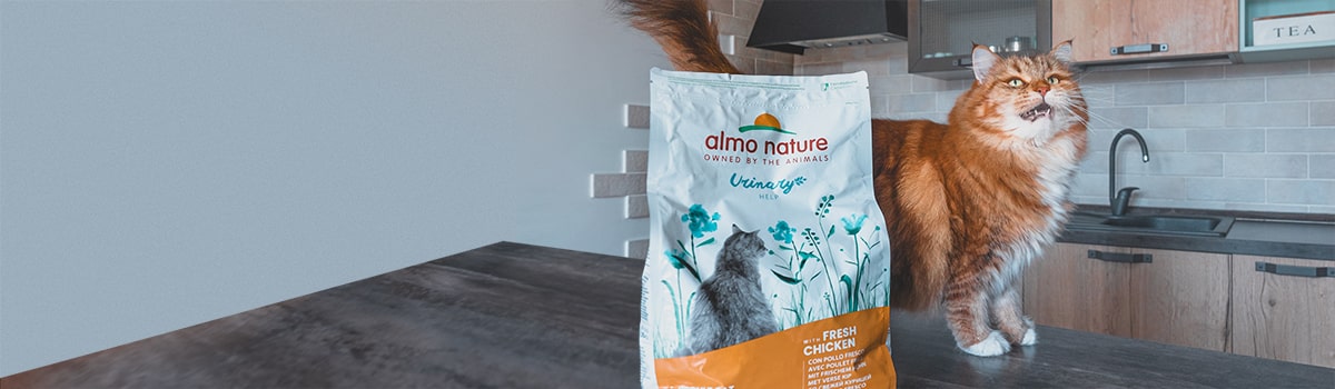 ALMO NATURE HFC High Appetizing voor kat