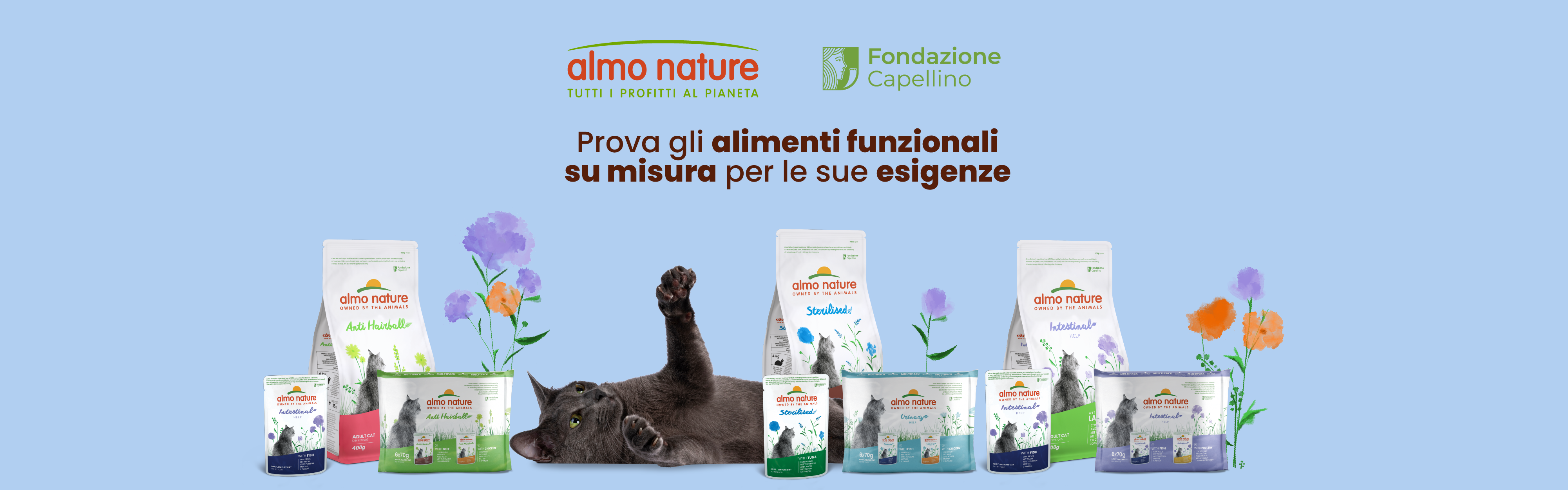 ADV Funzionale Gatto-Landing IT_Desktop no20