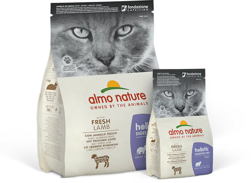 Product Line Image