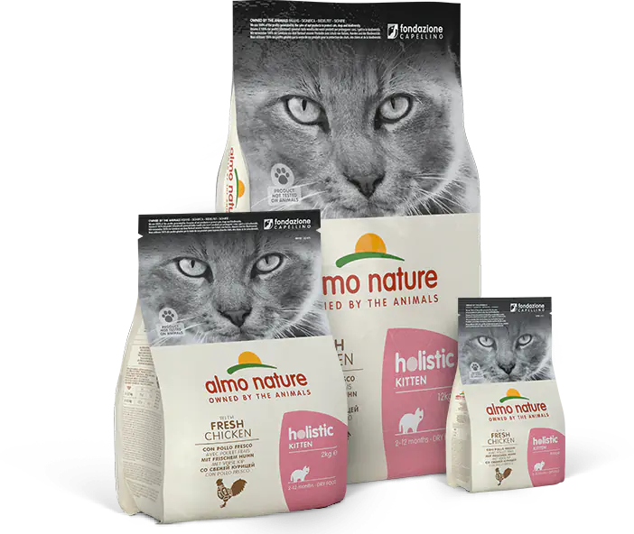 Product Line Image