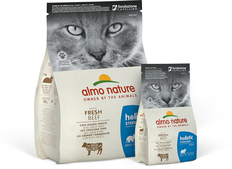 Product Line Image