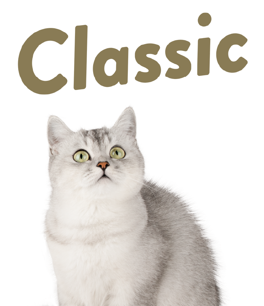 CLASSIC segment cat-home page slider 2
