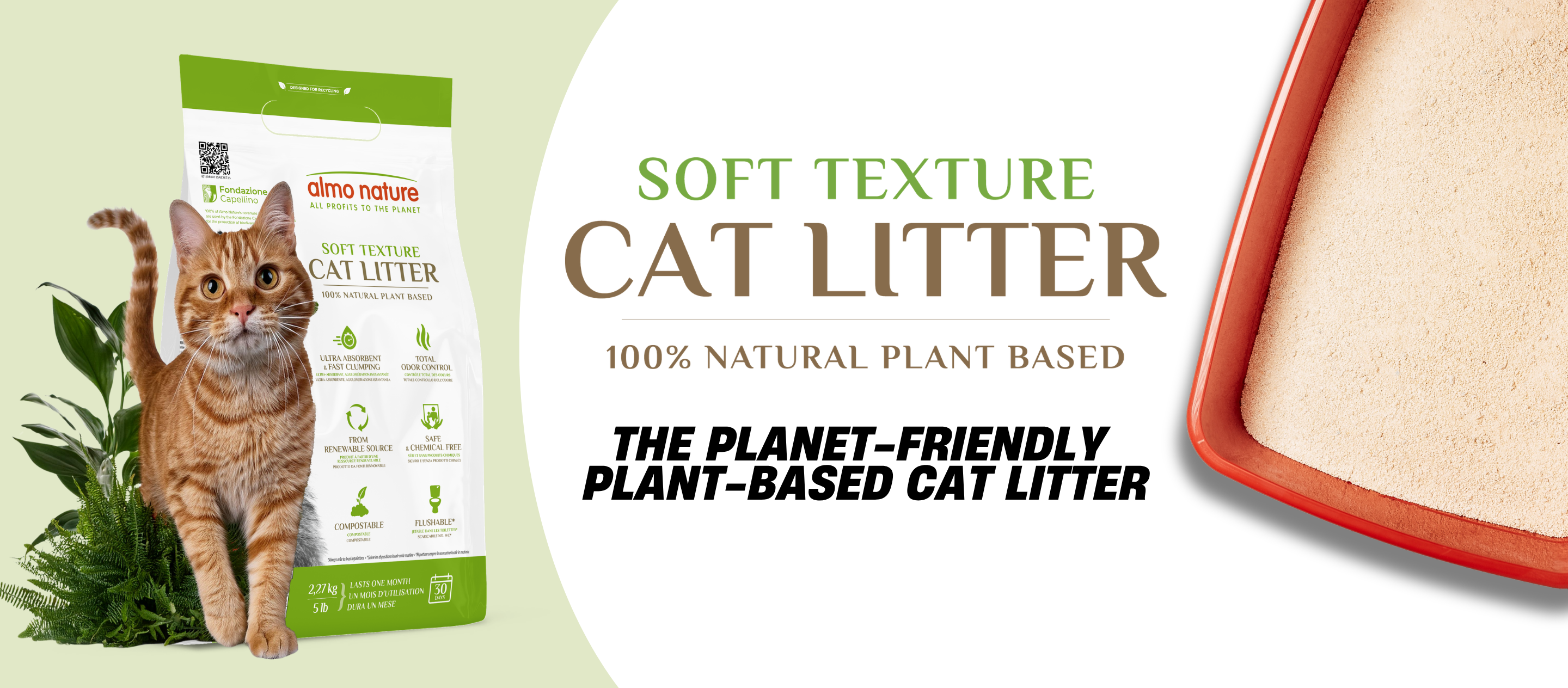 Cat Litter 2026 - WEBSITE HERO DESKTOP (2880 x 1264 px)