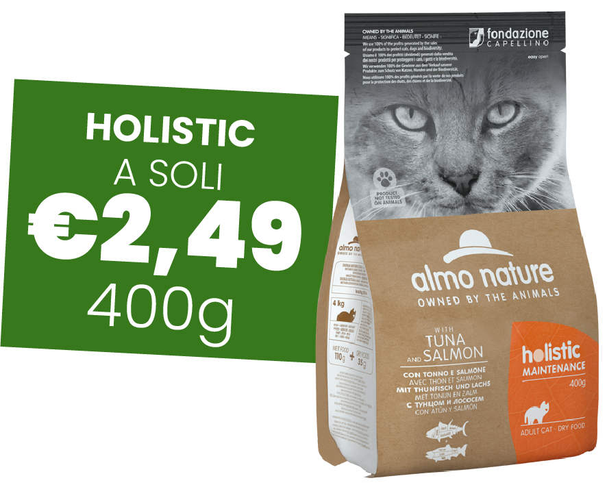 Holistic 1