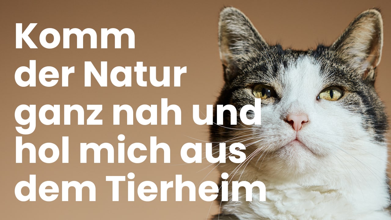 Komm der Natur ganz nah und hol mich aus dem Tierheim