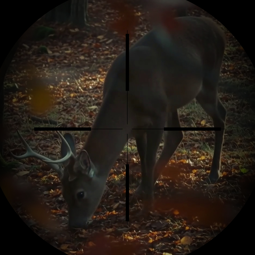 Niente giustifica la caccia_Atto2_editoriale