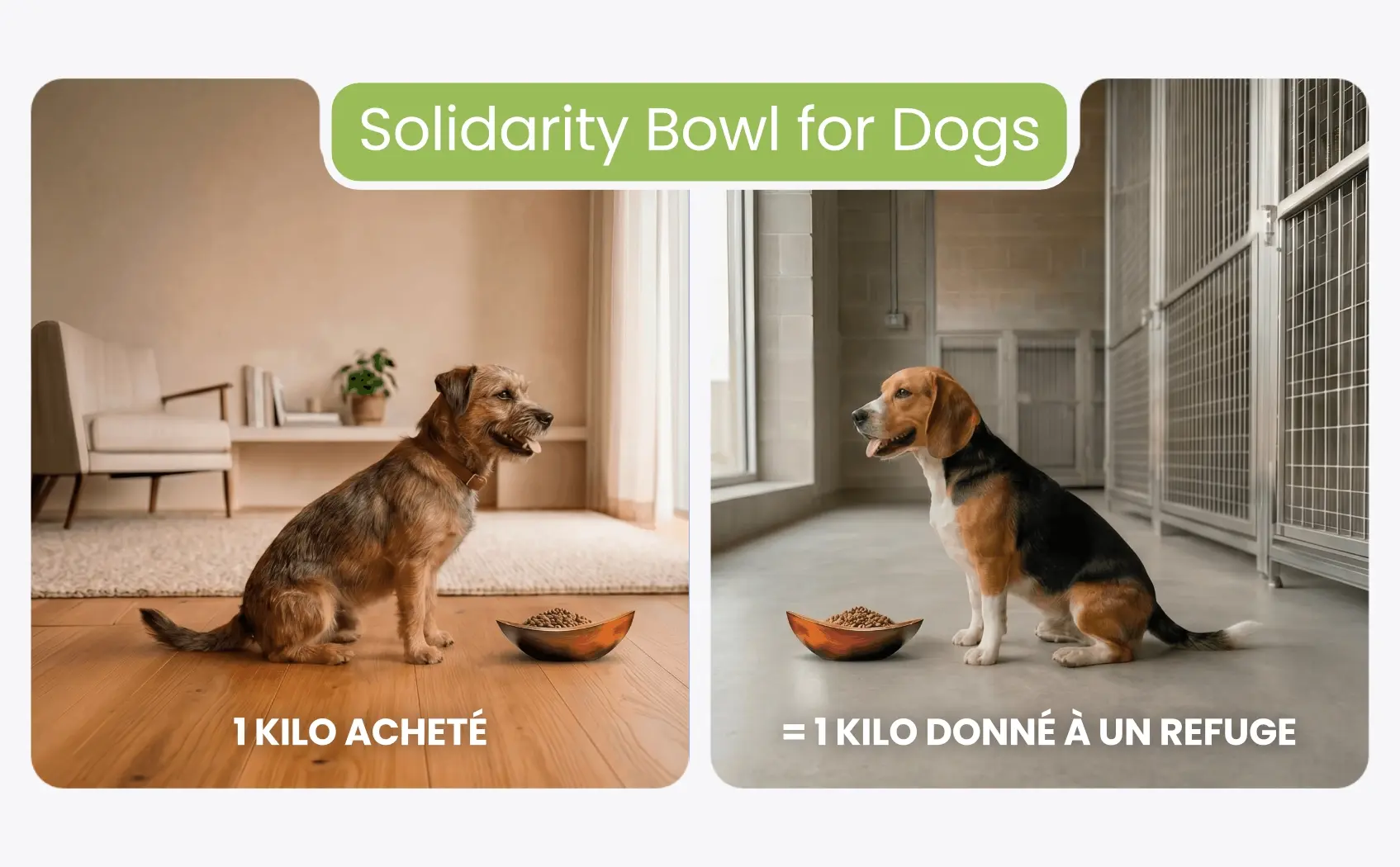 SOLIDARITY BOWL FR