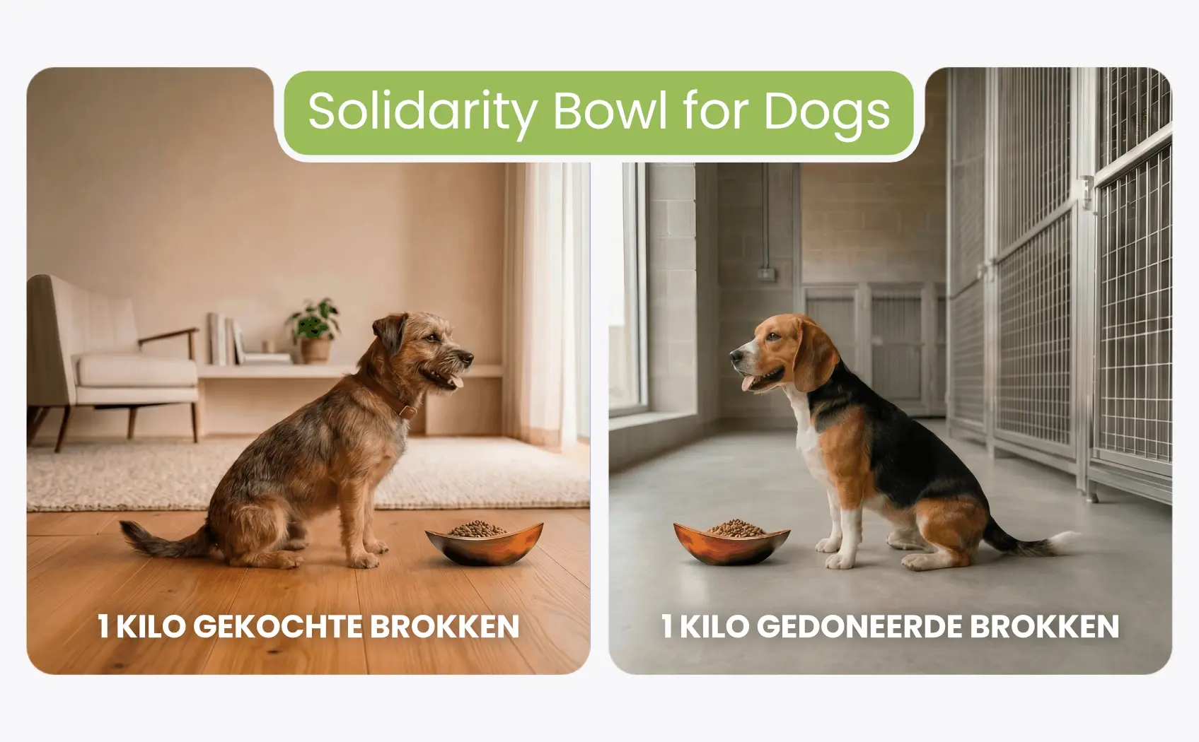 SOLIDARITY BOWL NL