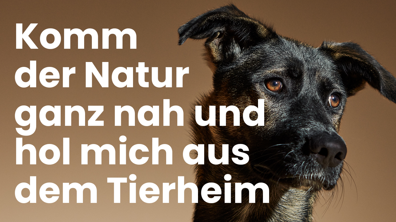 Komm der Natur ganz nah und hol mich aus dem Tierheim