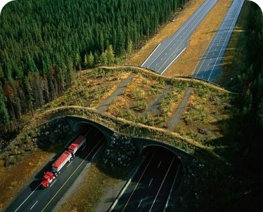 campagna_climate_change