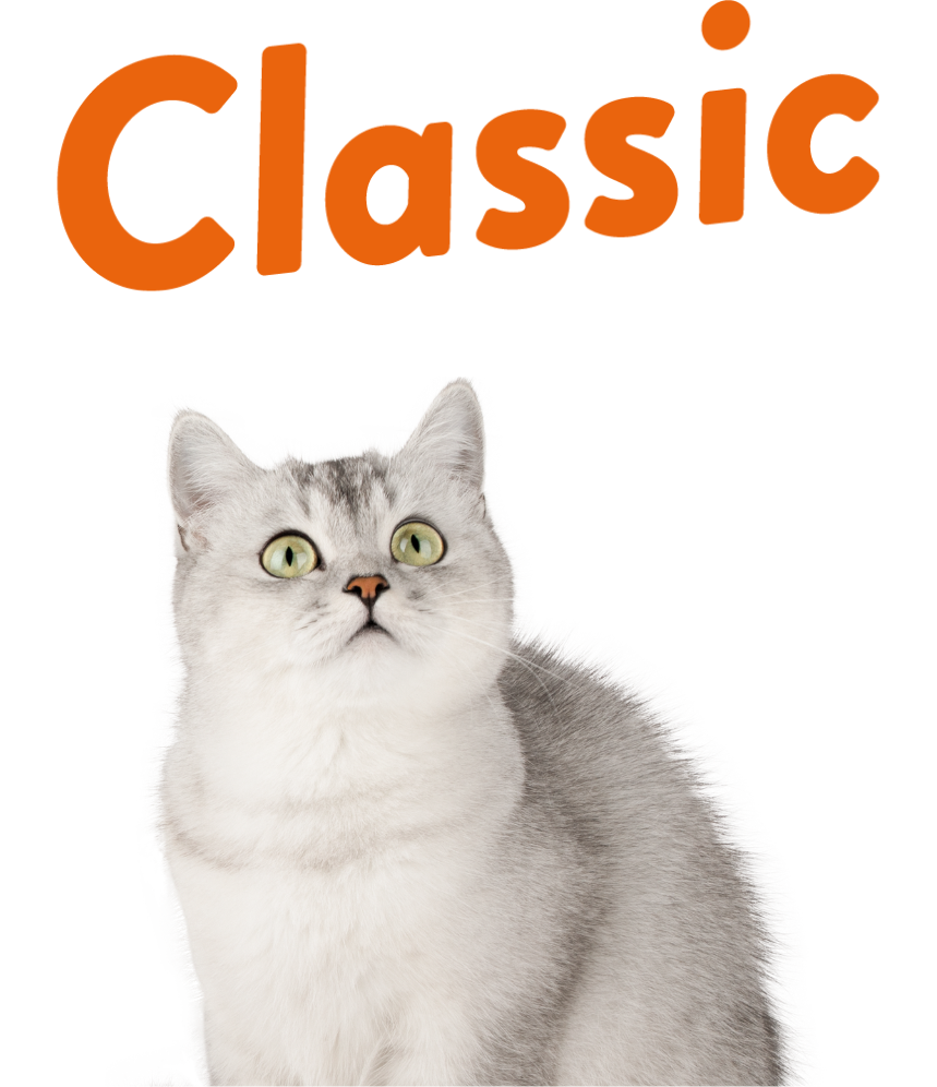 classic cat-home page slider2