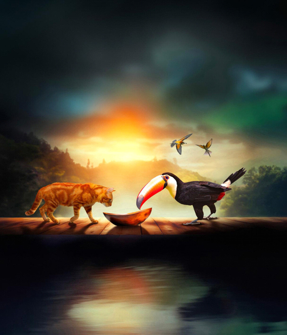 gatto-tucano