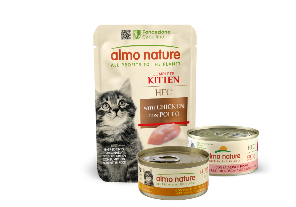 Product Line Image