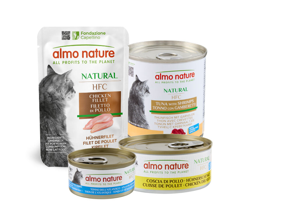 Product Line Image