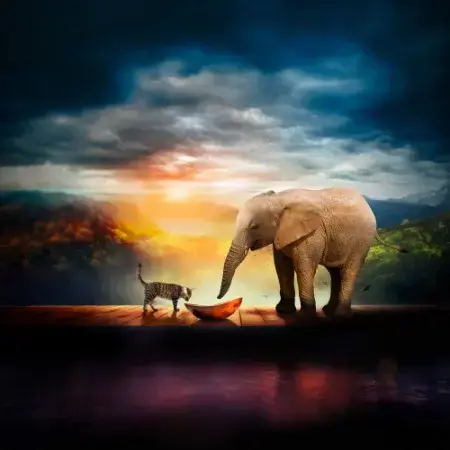 menu_azienda_gatto_elefante-1