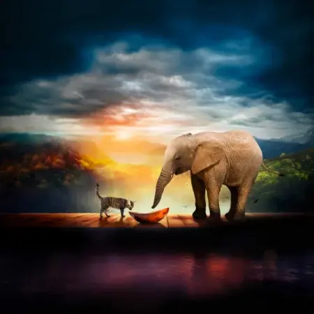 menu_azienda_gatto_elefante