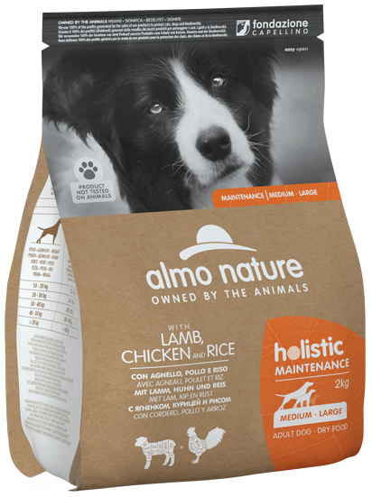 Holistic lamb and rice sale