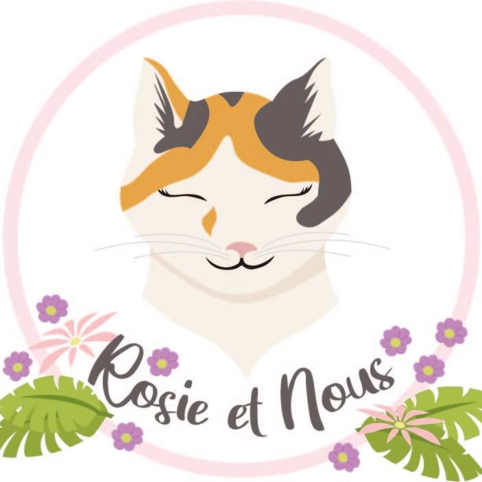 Image for Un espace extérieur sécurisé et un logiciel de gestion pour les chats de chez Rosie et Nous.