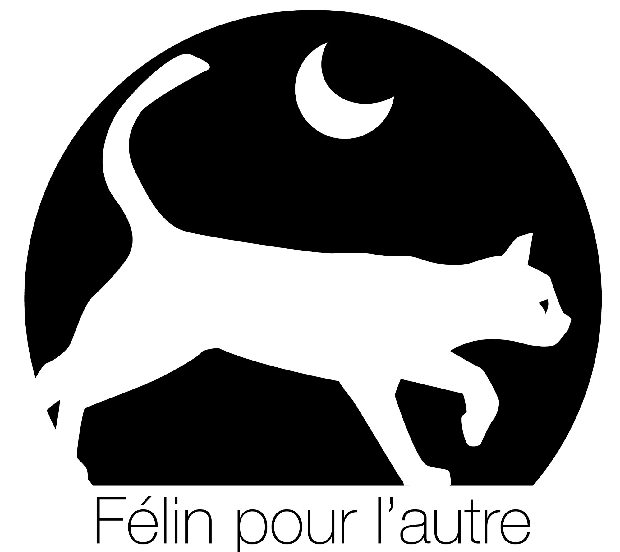 Image for PREVENTION DE L’ERRANCE ANIMALE ET PRISE EN CHARGE DE CHATS ERRANTS
