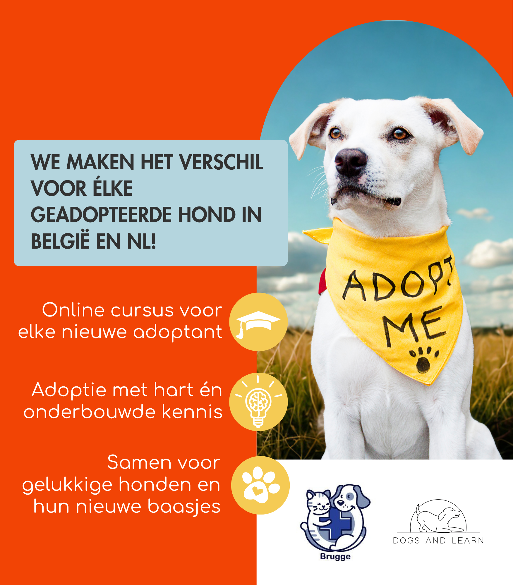 Image for Cours d’adoption pour maîtres de chiens