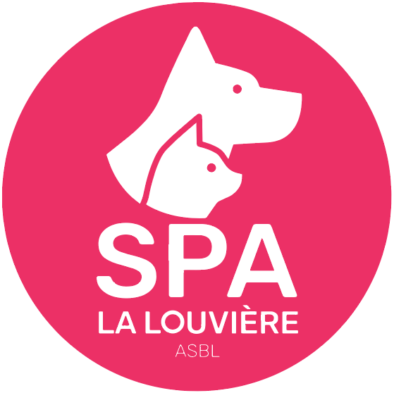 Image for Projet nouveau refuge
