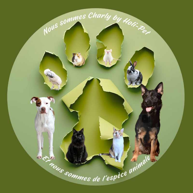 Project Logo