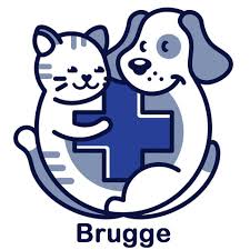 Project Logo