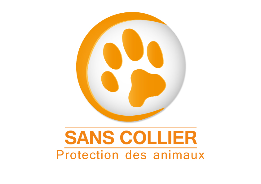 Project Logo