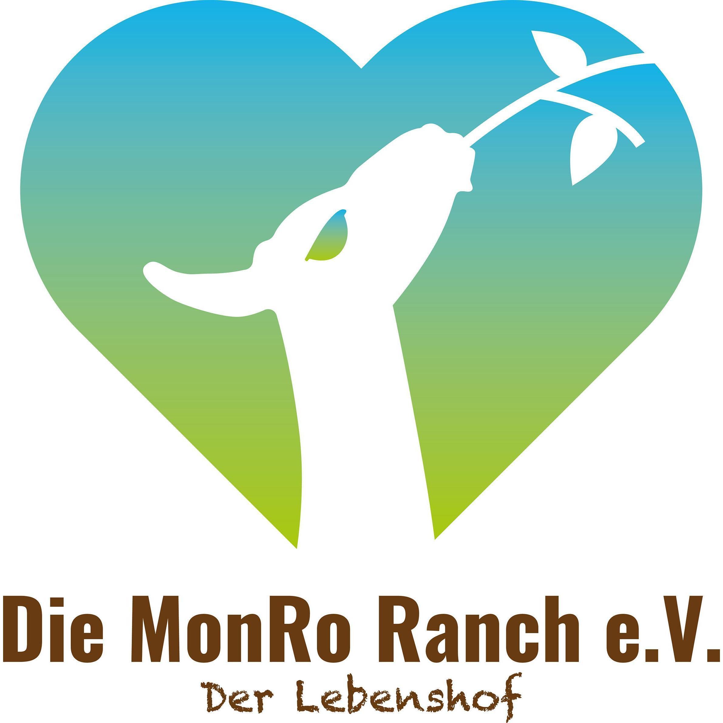 Image for Streunerprojekt 