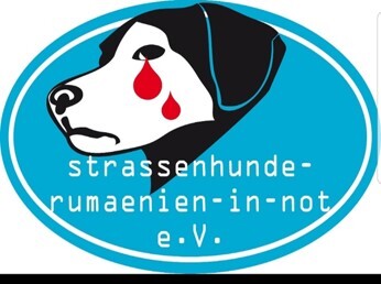 Image for Straßenhundepopulation in Faget eindämmen